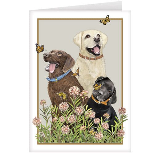 Three Labs Greeting Card