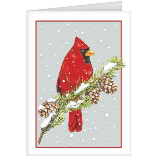 Cardinal On Pine Greeting Card