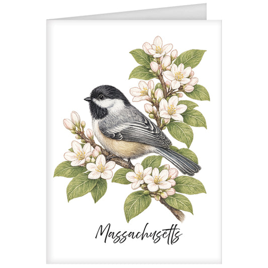 Massachusetts State Bird Greeting Card