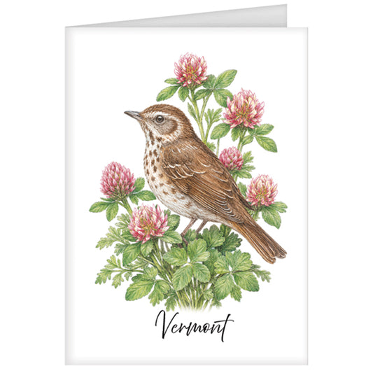 Vermont State Bird Greeting Card