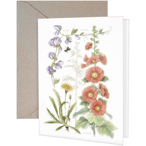 Hollyhock Garden Greeting Card