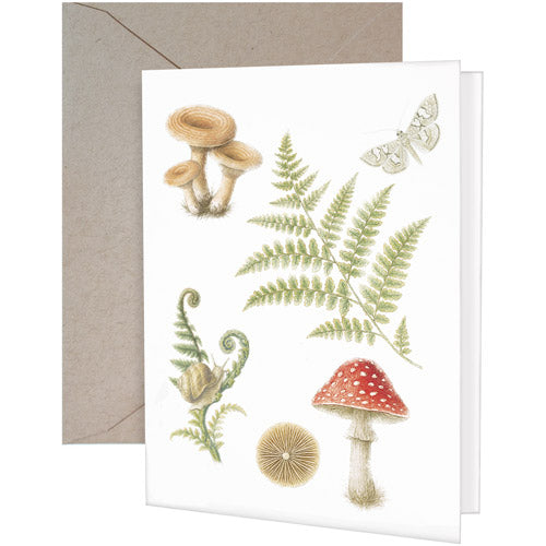 Mushroom Ferns Greeting Card