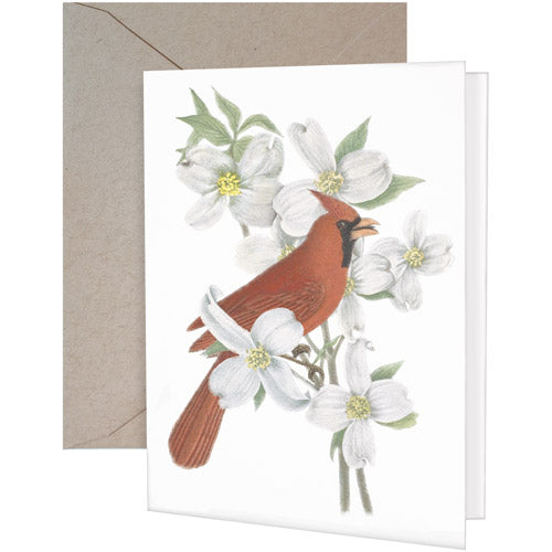 Cardinal Dogwood MS Greeting Card