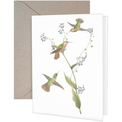 Hummingbirds MS Greeting Card