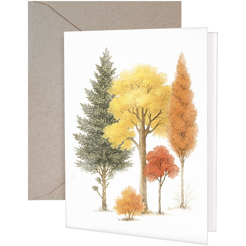 Fall Forest Greeting Card