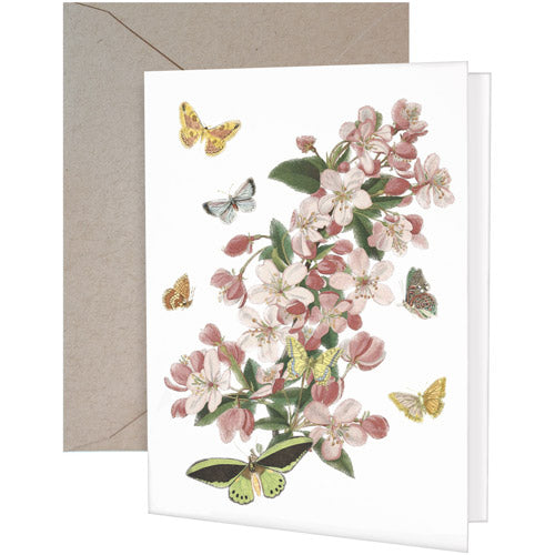Blossom Butterflies Greeting Card