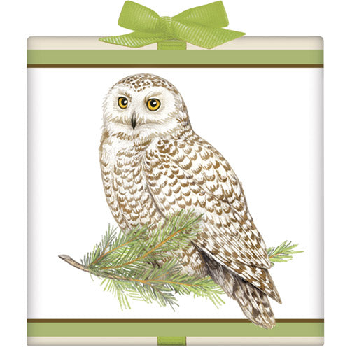 Owl Tea Box